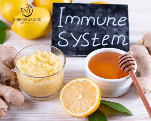 Immune System